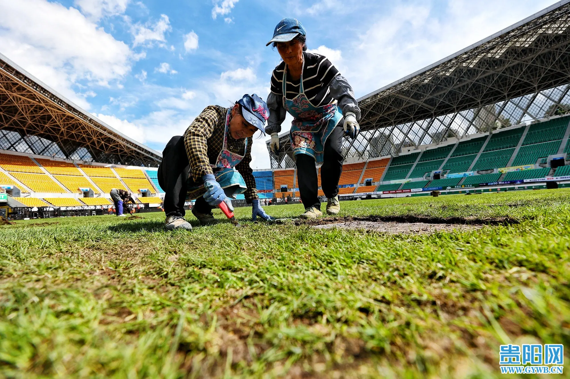 支球员的欢, 和花 支球员的欢, 和花